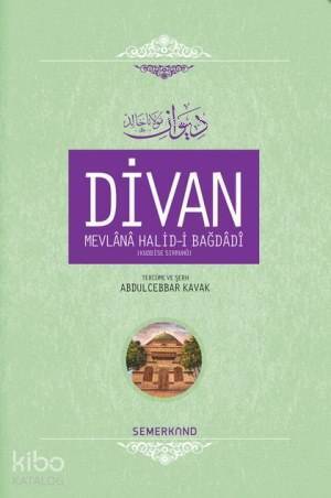 Divan Mevlânâ Halid-i Bagdâdî (Ciltli) - 1
