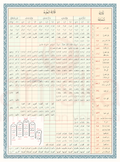 Emsile Bina Şeması Renkli - 1