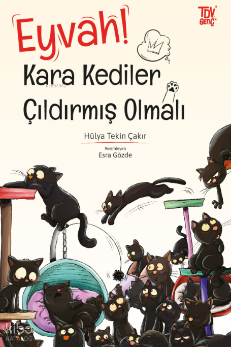 Eyvah! Kara Kediler Çıldırmış Olmalı - 1