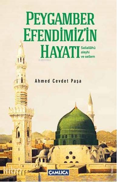 Peygamber Efendimizin Hayatı (Sallallahu Aleyhi ve Sellem) (Ciltli) - 1